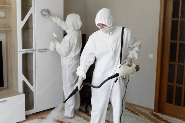 Best Industrial Mold Remediation in Le Roy, IL