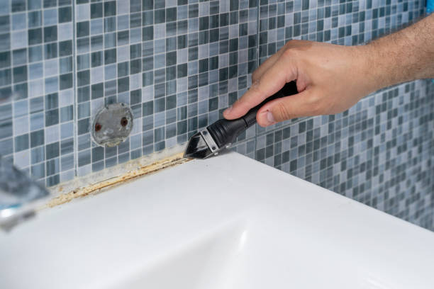 Best Mold Testing and Inspection Services in Le Roy, IL