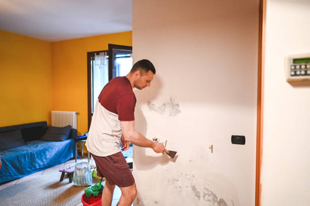 Best Attic Mold Remediation in Le Roy, IL